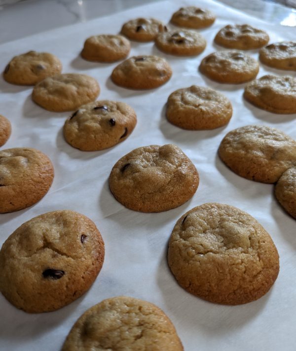 250mg THC Chocolate Chip Cookies - HIGH DOSE