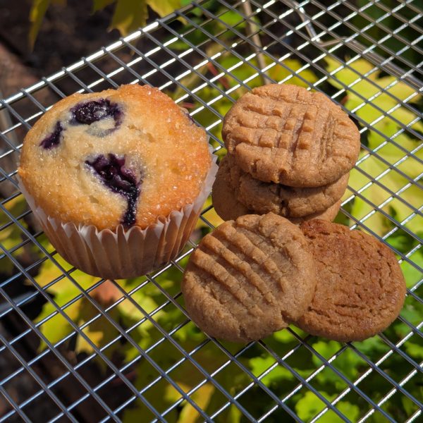 100mg THC Peanut Butter Cookies - No Sugar, Flour or Dairy! - Image 2